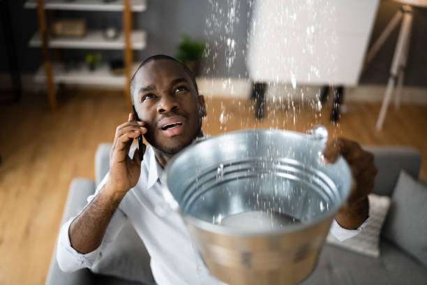 Best Water damage repair service  in Union City, PA