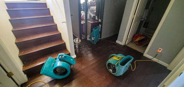 Best 24/7 water damage repair  in Union City, PA