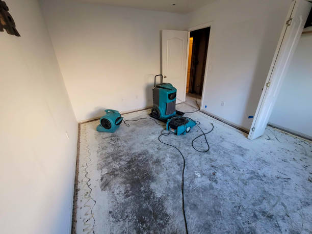 Best Residential water damage restoration  in Union City, PA