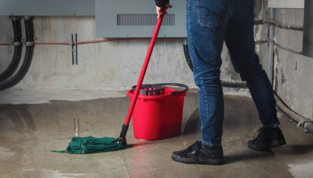 Best Water damage cleanup near me  in Union City, PA
