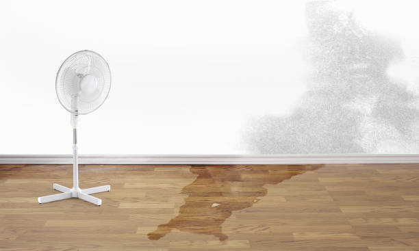 Best 24-hour water damage restoration  in Union City, PA