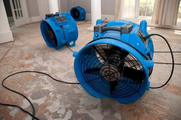 Best Carpet water damage restoration  in Union City, PA