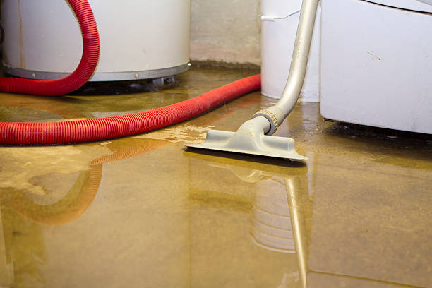 Best Water damage restoration near me  in Union City, PA
