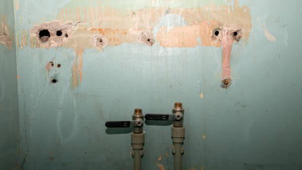 Best Flood restoration services  in Union City, PA