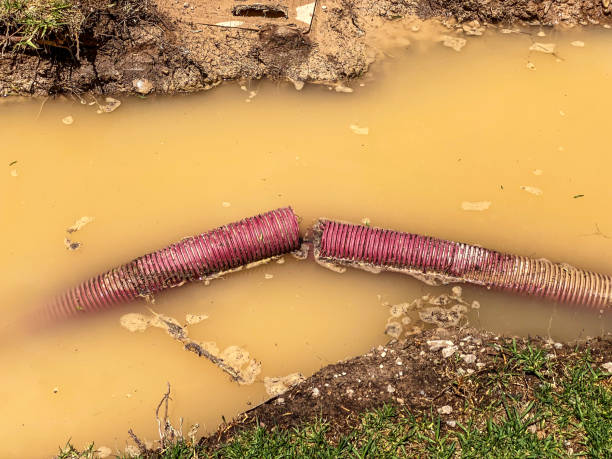 Best Carpet water damage restoration  in Union City, PA