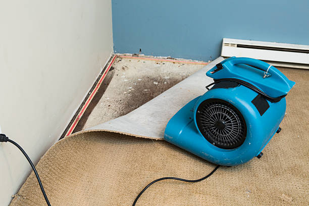 Best 24-hour water damage restoration  in Union City, PA